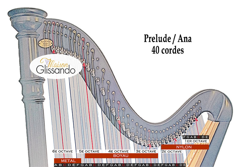 Schéma de cordes Prelude
