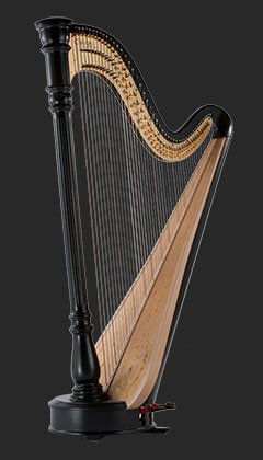 Chicago Concertino Ebony